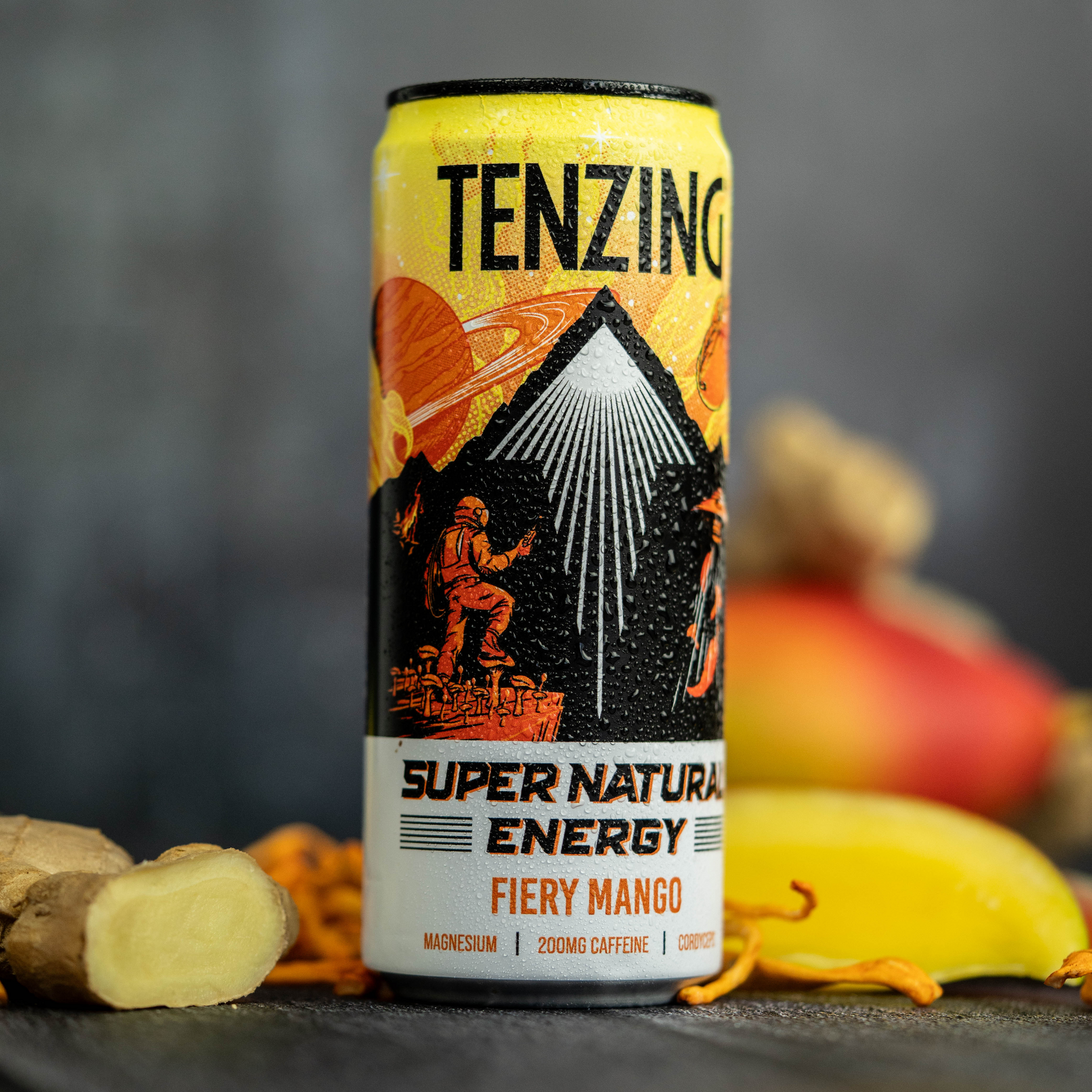 TENZING Fiery Mango (330ML)