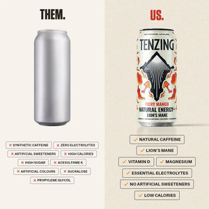 TENZING Fiery Mango + Lion's Mane (500ml)