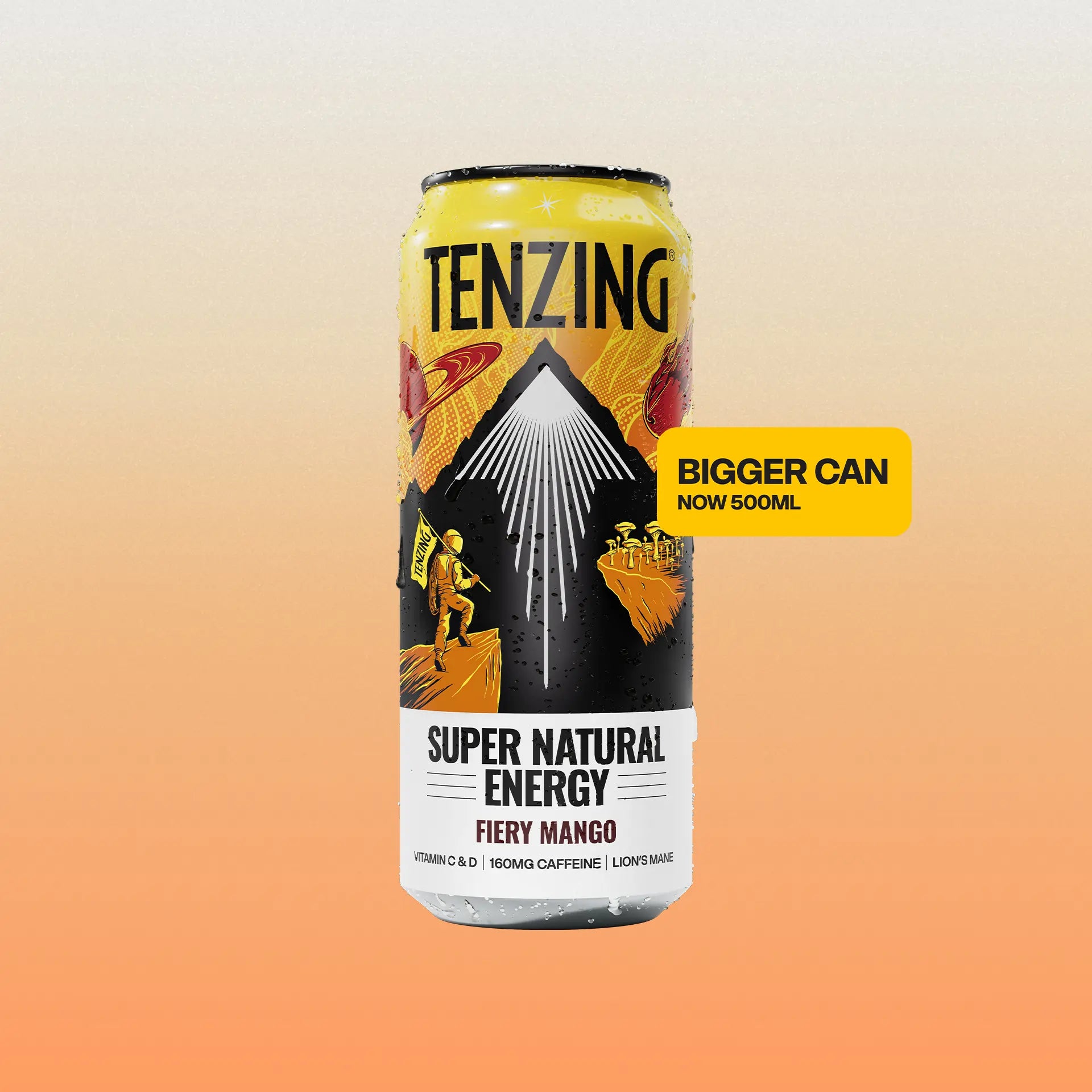 TENZING Fiery Mango (500ml)