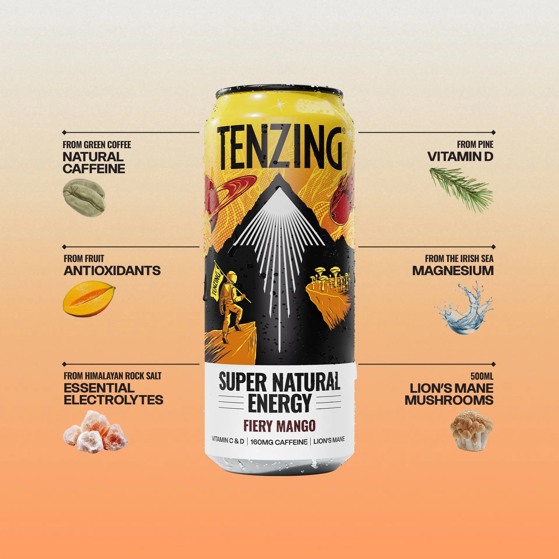 TENZING Fiery Mango (500ml)